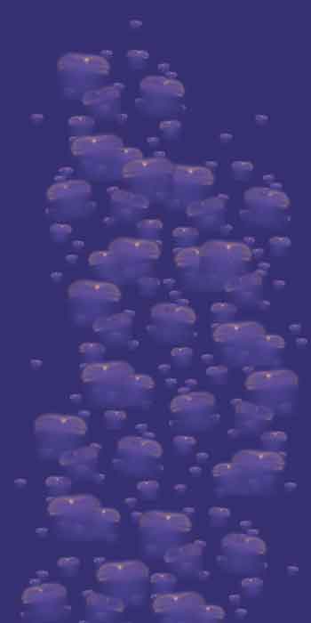 School of Jelly Fish