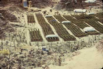 Farms