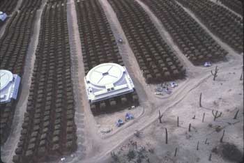 Farms