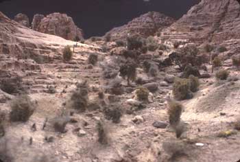 Arroyo