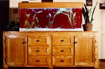 Aquarium